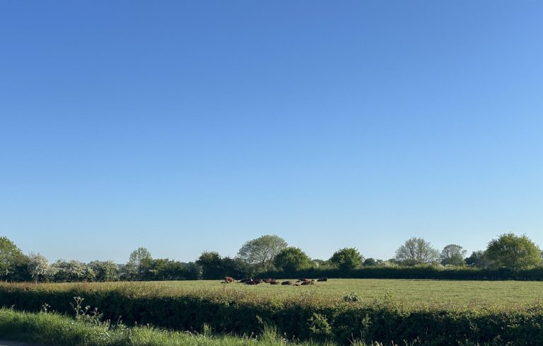 Green and pleasant land